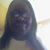 Sally Simpson's profile image
