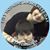 Billie Kwiatkowski's profile image