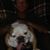 William Brown's profile image