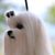 Paula Bailly's profile image