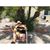 Bruce Farlow's profile image