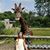 Kathy Marie's profile image