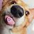 John W. Rexford's profile image