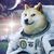 Reinier Barrios's profile image