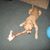 Randy Kennell's profile image