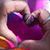 Debra Bick's profile image