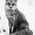 Monica DuCharme's profile image