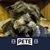 Diane Roe's profile image