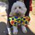 Ann Nelson Noell's profile image