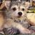 Marilyn Gilmer's profile image