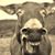 Jeffrey Myers's profile image