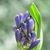 Becky Wolary's profile image