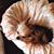 Ellen Buckey's profile image