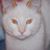 Dee Dee Deidre Eaton's profile image