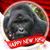 Robert Warnick's profile image