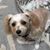 Nancy Barlin's profile image