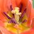 David Saier's profile image