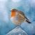 Rose Mead's profile image