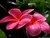Monica C.'s profile image