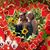 Lisa Easter's profile image