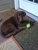 Gladys W.'s profile image