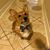 Jose Cubas's profile image