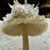 Jurate Sasnauskas's profile image