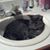 Laura LeMay Hernandez's profile image