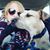 Ali Rae Horsted's profile image