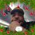 Anthony Craft's profile image