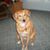 Donya Ruetz Harrington's profile image