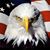 Dan Fisher's profile image