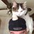 Kevin Vinnie Bartimus's profile image