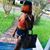 Shay Williams's profile image