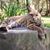 Judy Graham's profile image