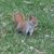 Jessica Woodall's profile image