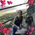 Celeste Mason-Allgood's profile image