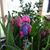 Linda Harrison Cathey's profile image