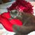 Pam Macy's profile image