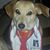 Phillip Boyer's profile image