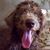 Donna Porter Teague's profile image