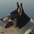 Magda Miernik's profile image