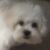 Kris Weaver's profile image