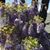 Donna English-Julie's profile image