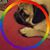 Karin Olson's profile image