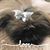 Margaret Renner's profile image