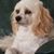 Mike Kaldenberg's profile image