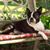 andrew a klee's profile image