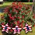 Dawn Mckinney's profile image