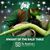 Mary Ann Nocie's profile image